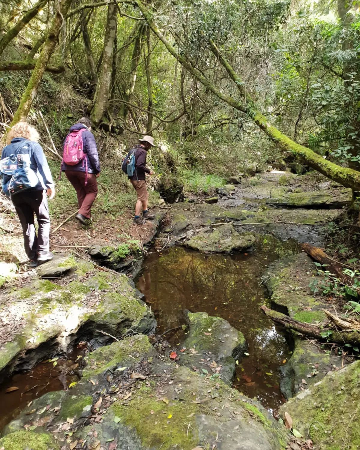 Branden guiding eco-tourism adventure in South Africa.